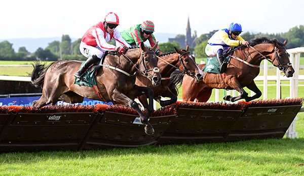 galway races tips 2025