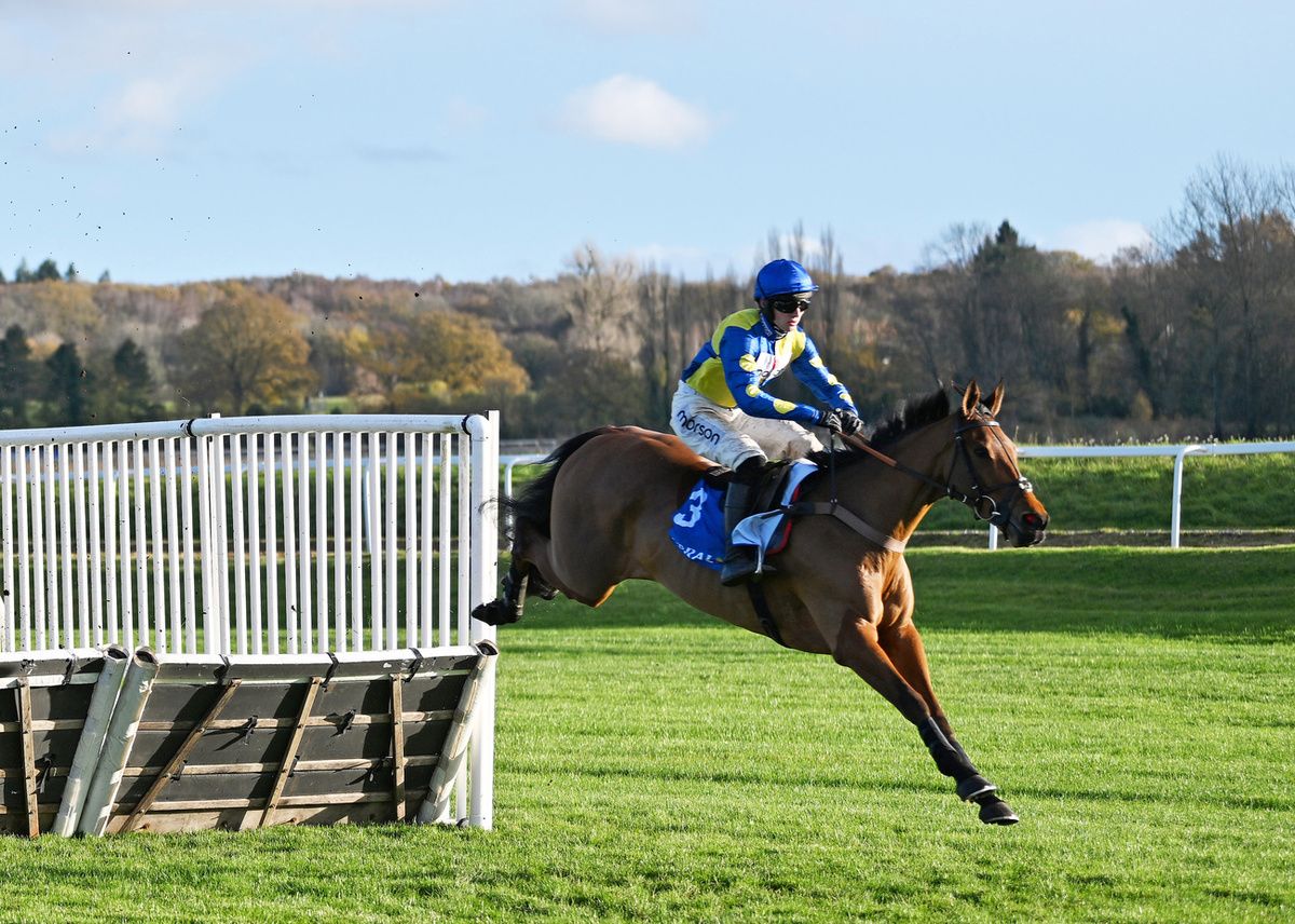 Tutti Quanti and Harry Cobden 