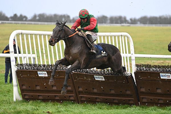 Chichester Park and Daniel King winning at Thurles