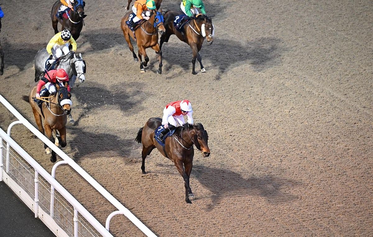 Prairie Girl and Seamie Heffernan