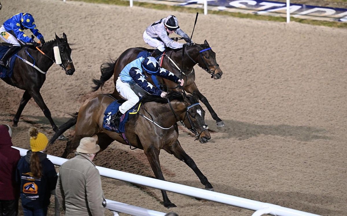 Summer Island and Reese Holohan