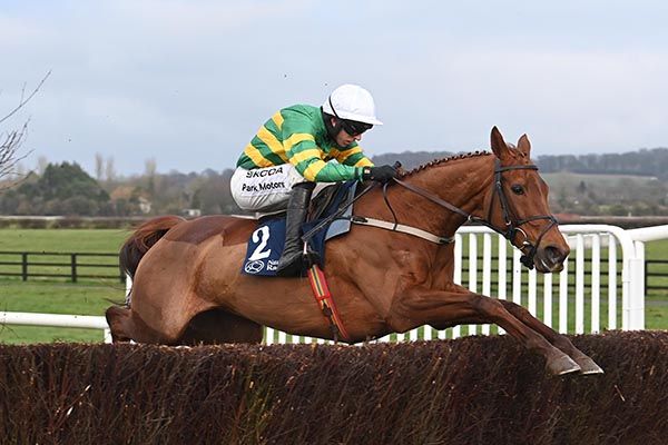 Dinoblue and Mark Walsh